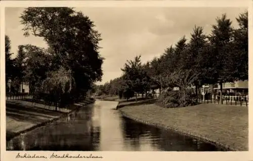 Ak Schiedam Südholland Niederlande, Stadhouderslaan