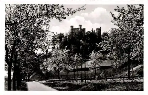 Ak Offenburg in Baden Schwarzwald, Schloss Ortenberg