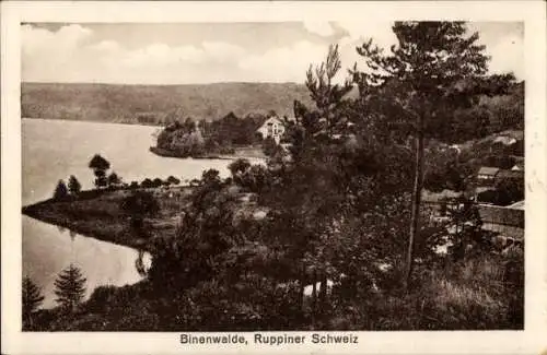 Ak Binenwalde Gühlen Glienicke Neuruppin in Brandenburg, Ruppiner Schweiz, Panorama