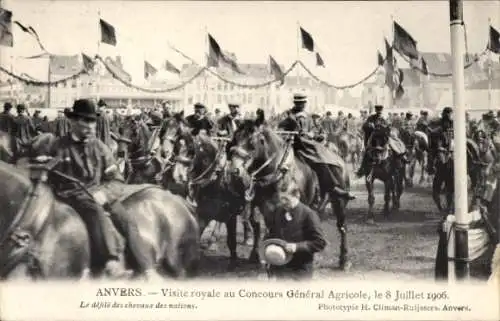 Ak Anvers Antwerpen Flandern, Visite royale au Concours General Agricole, 8 Juillet 1906, Pferde