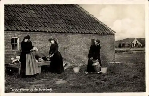 Ak Terschelling-Friesland Niederlande, Bauernhof