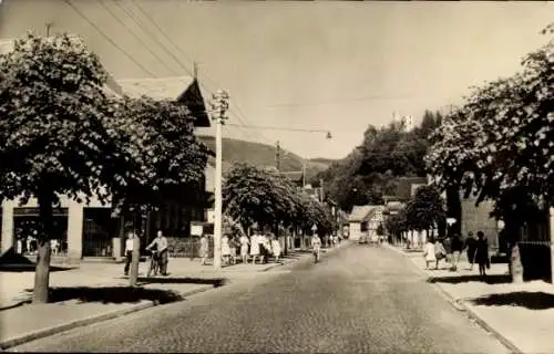 Ak Steinbach Hallenberg im Thüringer Wald, Hauptstraße und Hattenburg