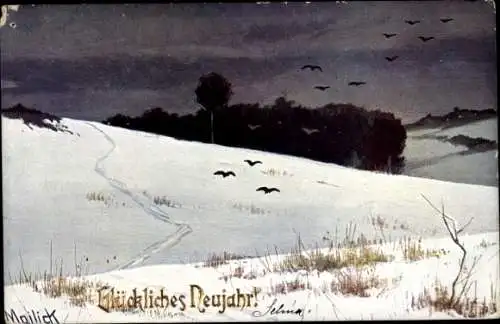 Künstler Litho Mailick, Glückwunsch Neujahr, Winter, Feld, Schnee