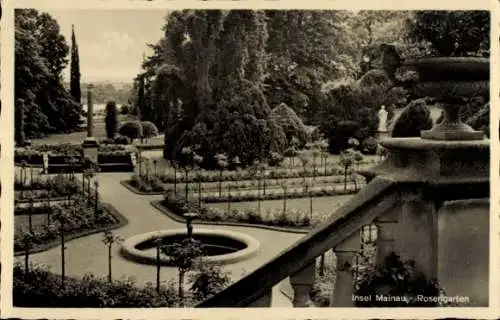 Ak Insel Mainau im Bodensee, Rosengarten