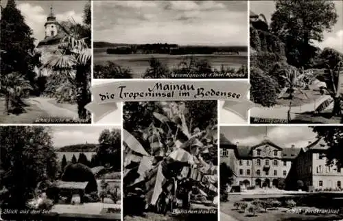 Ak Insel Mainau im Bodensee, Panorama, Schlosskirche, Bananenstaude, Schloss Vorderansicht