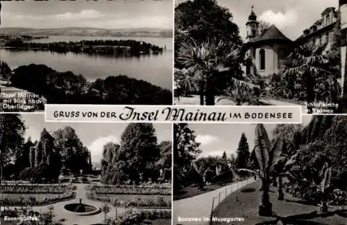 Ak Insel Mainau im Bodensee, Bananen im Musagarten, Schlosskirche, Rosengarten