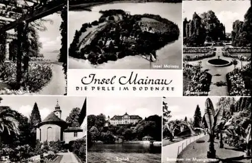 Ak Insel Mainau im Bodensee, Gesamtansicht, Rosengarten, Bananen im Musagarten, Schloss