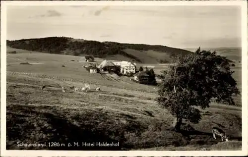 Ak Freiburg im Breisgau, Schauinsland, Hotel Haldenhof