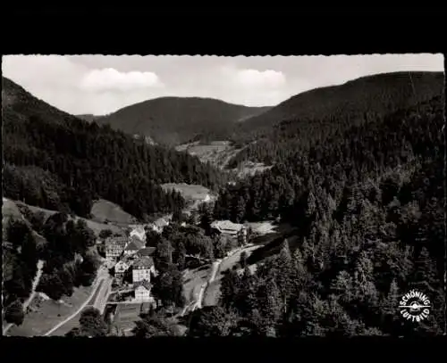 Ak Bad Rippoldsau Schapbach im Schwarzwald, Panorama