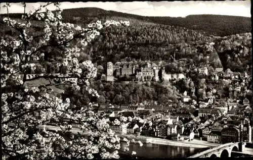 Ak Heidelberg am Neckar, Totalansicht