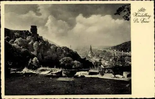 Ak Heidelberg am Neckar, Panorama, Alt Heidelberg, Du Feine