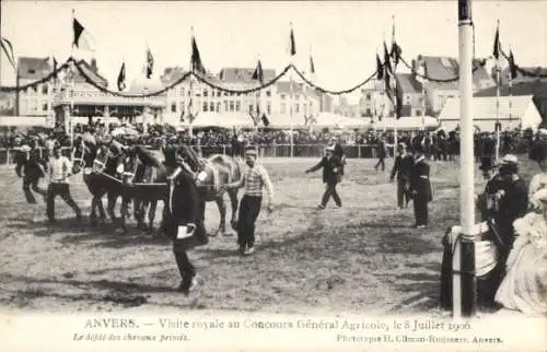 Ak Anvers Antwerpen Flandern, Visite royale au Concours General Agricole, 8 Juillet 1906