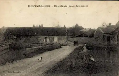 Ak Montmachoux Seine et Marne, Eine Ecke des Landes, die Teiche