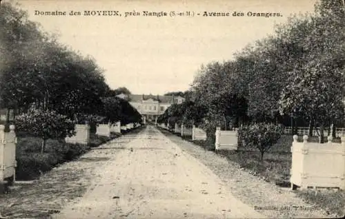 Ak Moyeux Seine et Marne, Avenue des Orangers