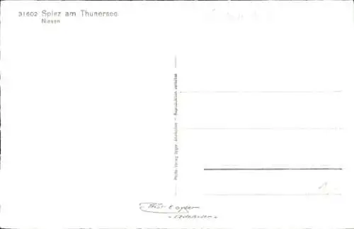 Ak Spiez am Thuner See Kanton Bern, Gesamtansicht, Niesen