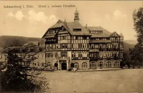 Ak Schwarzburg in Thüringen, Hotel zum weißen Hirschen