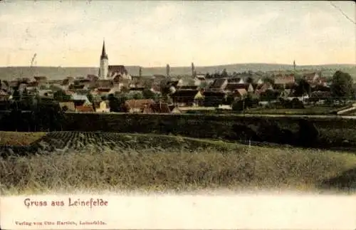 Ak Leinefelde im Eichsfeld Thüringen, Gesamtansicht