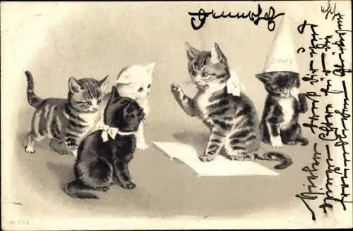 Litho Vermenschlichte Katzen, Buch, Papierhut