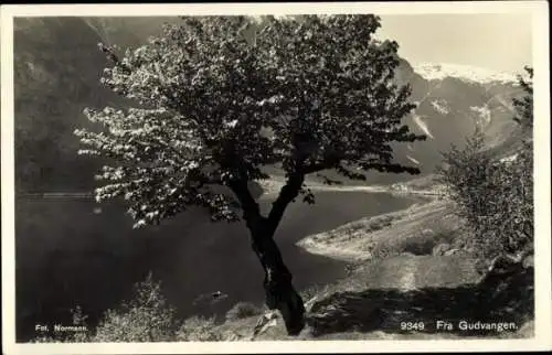 Ak Gudvangen Norwegen, Landschaftsidyll