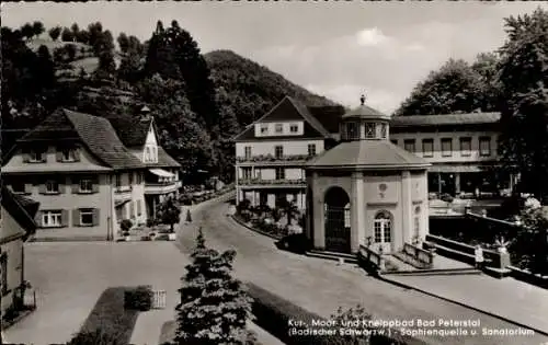 Ak Bad Peterstal Griesbach im Schwarzwald Baden, Sophienquelle, Sanatorium