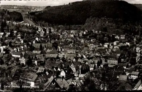 Ak Calw im Schwarzwald, Gesamtansicht