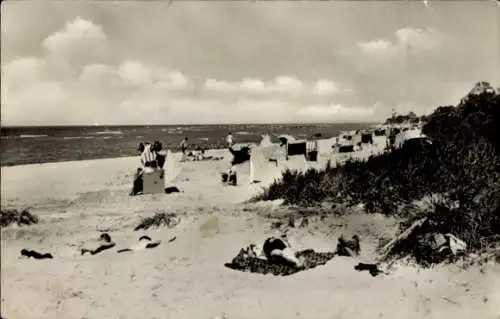 Ak Insel Poel Mecklenburg, Schwarzer Busch, Strand