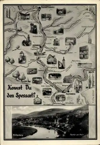 Landkarten Ak Miltenberg in Unterfranken Bayern, Partie am Main