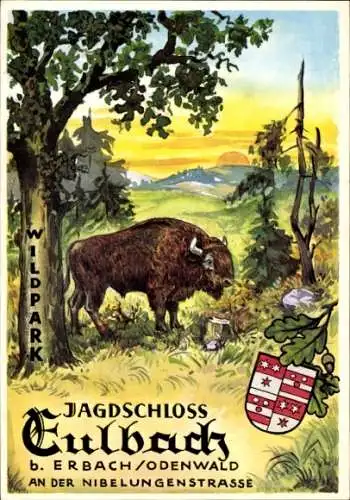 Ak Eulbach Michelstadt im Odenwald, Wildpark, Büffel, Wappen, Jagdschloss