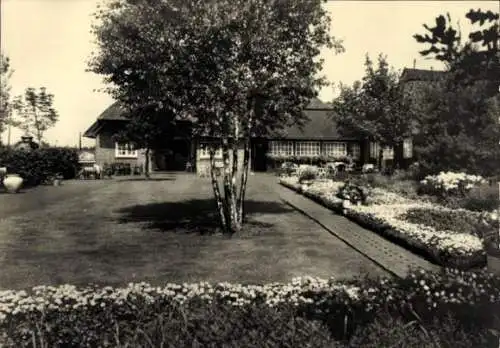 Ak Wiesmoor in Ostfriesland, Blauer Fasan