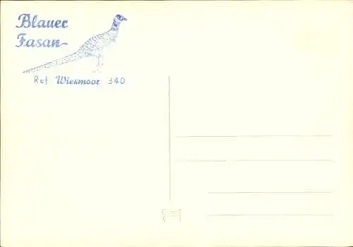 Ak Wiesmoor in Ostfriesland, Blauer Fasan