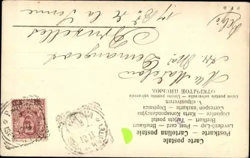 Ak Tierportrait, weiße Katze