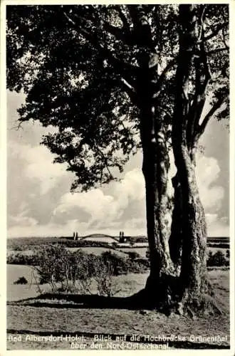 Ak Albersdorf in Holstein Dithmarschen, Hochbrücke Grünental, Nord-Ostseekanal, Panorama