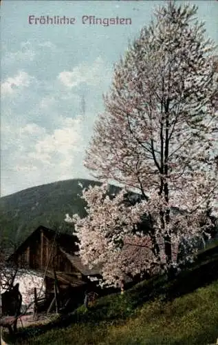 Ak Glückwunsch Pfingsten, Wohnhaus, Baumblüte