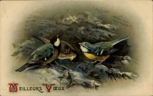 Litho Vögel im Winter, Meise