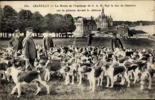 Ak Chantilly Oise, Das Rudel der Besatzung von Mgr. dem Herzog von Chartres