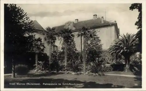 Ak Insel Mainau im Bodensee, Palmenheim, Schlosspark