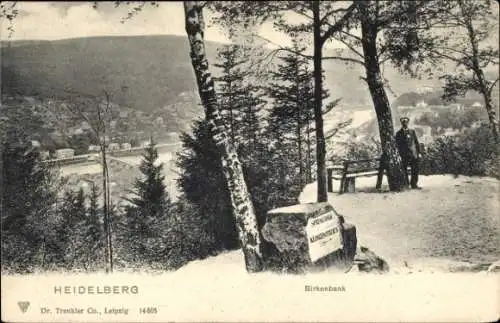 Ak Heidelberg am Neckar, Panorama, Birkenbank