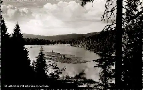 Ak Bayerisch Eisenstein in Niederbayern, kleiner Arbersee