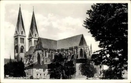 Ak Halberstadt am Harz, Dom