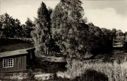 Ak Hirschluch Storkow in der Mark, am Weiher