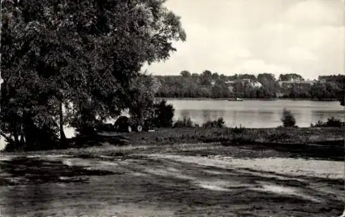 Ak Neuruppin in Brandenburg, Ruppiner Schweiz, Zermützelsee