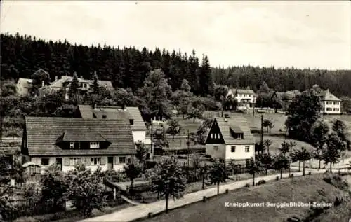 Ak Zwiesel Berggießhübel in Sachsen, Teilansicht