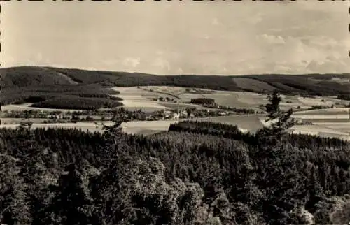 Ak Wernesgrün Steinberg im Vogtland, Blick vom Steinberg, Panorama