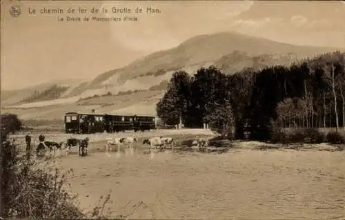 Ak Grotte de Han Han sur Lesse Wallonie Namur, Eisenbahn, Dreve de Marronniers d'Indie