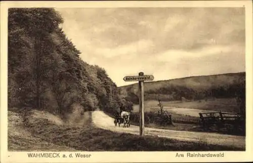 Ak Wahmbeck Bodenfelde an der Weser, Am Reinhardswald