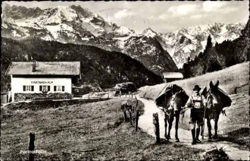 Ak Garmisch Partenkirchen in Oberbayern, Partnachalm, Esel