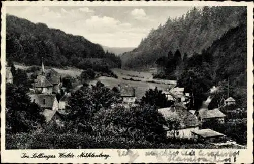 Ak Mühlenberg Holzminden im Weserbergland, Teilansicht, Sollinger Wald