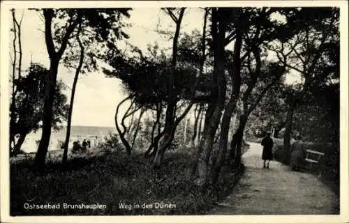 Ak Ostseebad Brunshaupten Kühlungsborn, Weg in den Dünen