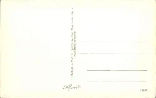 Ak Weimar in Thüringen, Schloss Belvedere