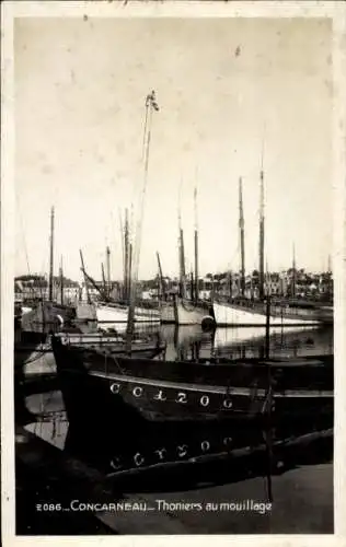 Ak Concarneau Finistère, Thunfischboote vor Anker